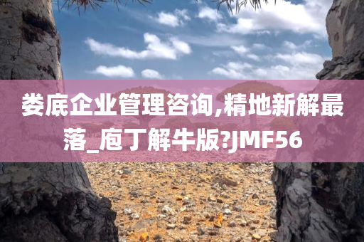 娄底企业管理咨询,精地新解最落_庖丁解牛版?JMF56