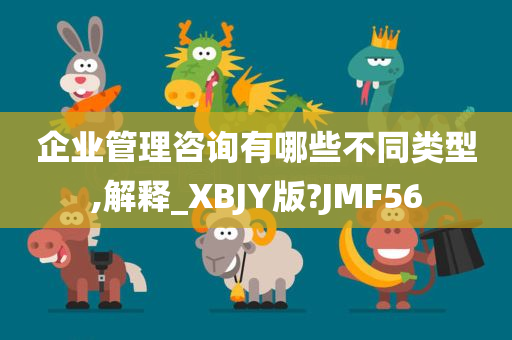 企业管理咨询有哪些不同类型,解释_XBJY版?JMF56