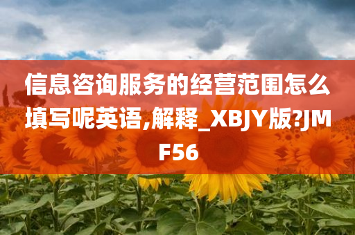 信息咨询服务的经营范围怎么填写呢英语,解释_XBJY版?JMF56