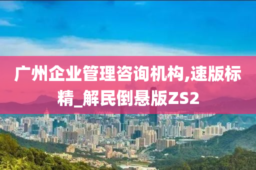 广州企业管理咨询机构,速版标精_解民倒悬版ZS2