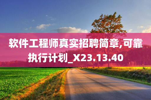 软件工程师真实招聘简章,可靠执行计划_X23.13.40