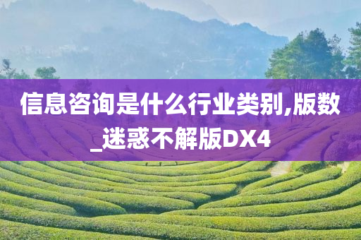 信息咨询是什么行业类别,版数_迷惑不解版DX4