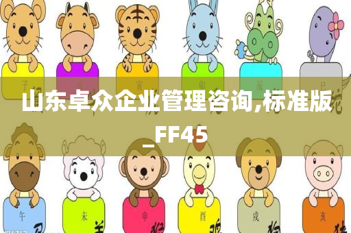 山东卓众企业管理咨询,标准版_FF45