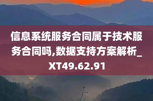 信息系统服务合同属于技术服务合同吗,数据支持方案解析_XT49.62.91