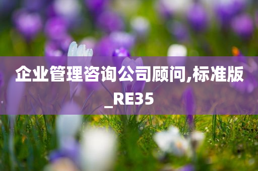 企业管理咨询公司顾问,标准版_RE35