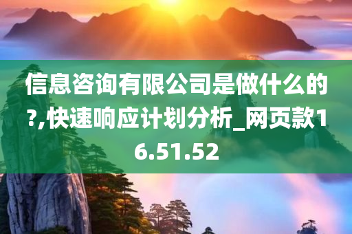 信息咨询有限公司是做什么的?,快速响应计划分析_网页款16.51.52