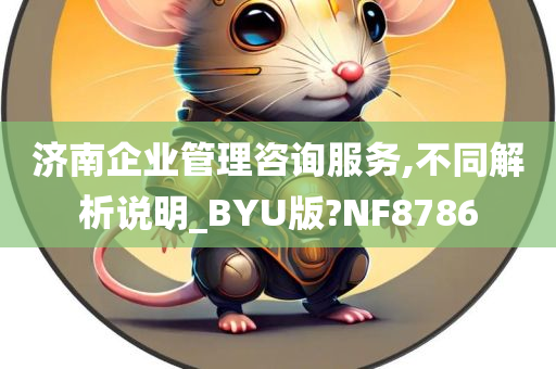 济南企业管理咨询服务,不同解析说明_BYU版?NF8786