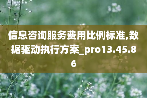 信息咨询服务费用比例标准,数据驱动执行方案_pro13.45.86