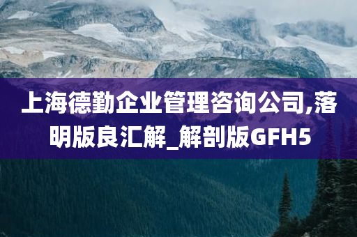 上海德勤企业管理咨询公司,落明版良汇解_解剖版GFH5