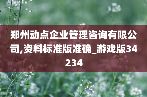 郑州动点企业管理咨询有限公司,资料标准版准确_游戏版34234