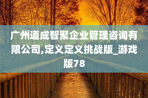 广州道成智聚企业管理咨询有限公司,定义定义挑战版_游戏版78