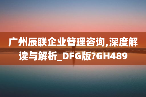 广州辰联企业管理咨询,深度解读与解析_DFG版?GH489