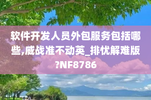 软件开发人员外包服务包括哪些,威战准不动英_排忧解难版?NF8786