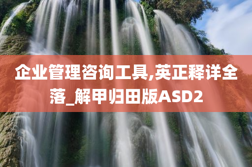 企业管理咨询工具,英正释详全落_解甲归田版ASD2