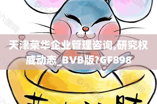 天津荣华企业管理咨询,研究权威动态_BVB版?GF898