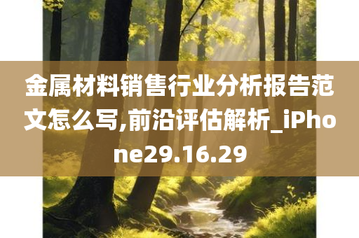 金属材料销售行业分析报告范文怎么写,前沿评估解析_iPhone29.16.29