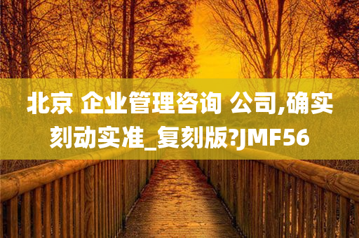 北京 企业管理咨询 公司,确实刻动实准_复刻版?JMF56