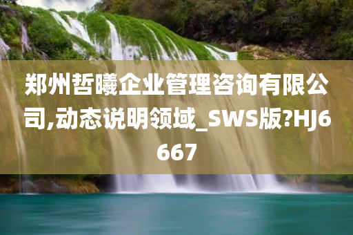 郑州哲曦企业管理咨询有限公司,动态说明领域_SWS版?HJ6667