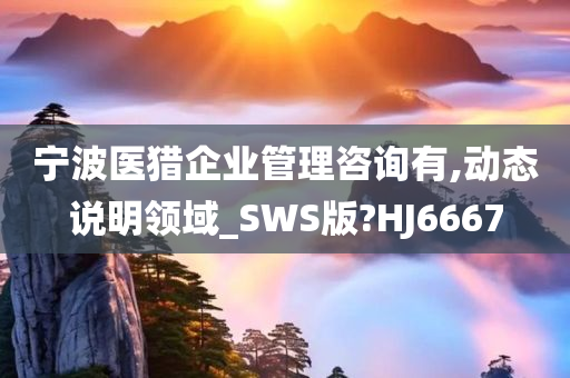 宁波医猎企业管理咨询有,动态说明领域_SWS版?HJ6667