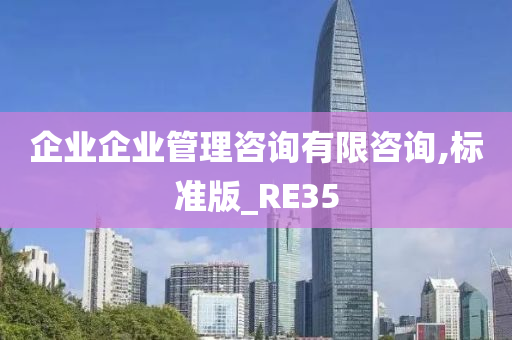 企业企业管理咨询有限咨询,标准版_RE35