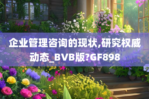 企业管理咨询的现状,研究权威动态_BVB版?GF898