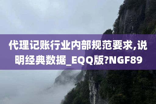 代理记账行业内部规范要求,说明经典数据_EQQ版?NGF89