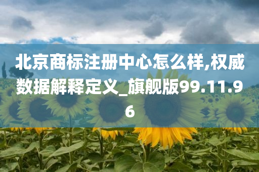 北京商标注册中心怎么样,权威数据解释定义_旗舰版99.11.96