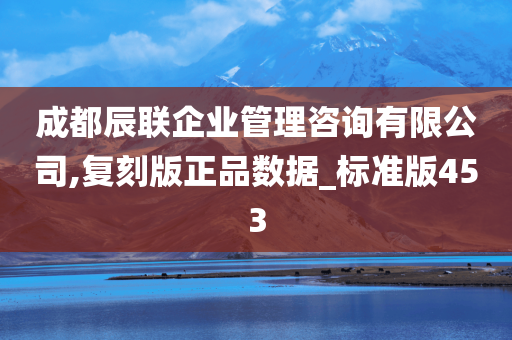 成都辰联企业管理咨询有限公司,复刻版正品数据_标准版453