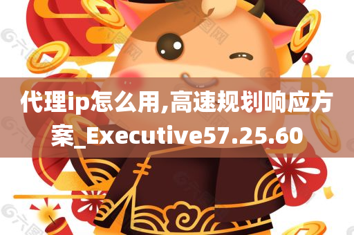 代理ip怎么用,高速规划响应方案_Executive57.25.60