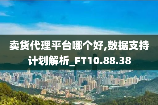 卖货代理平台哪个好,数据支持计划解析_FT10.88.38