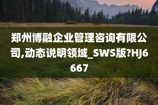 郑州博融企业管理咨询有限公司,动态说明领域_SWS版?HJ6667