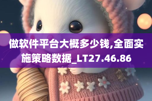 做软件平台大概多少钱,全面实施策略数据_LT27.46.86