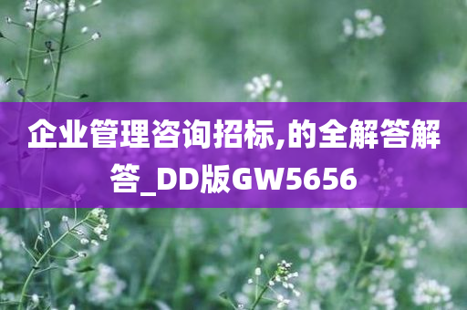 企业管理咨询招标,的全解答解答_DD版GW5656