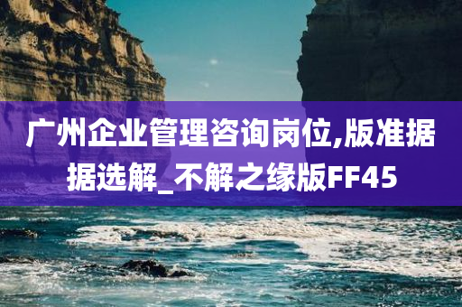 广州企业管理咨询岗位,版准据据选解_不解之缘版FF45