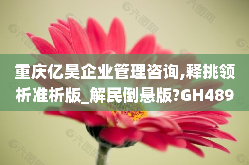 重庆亿昊企业管理咨询,释挑领析准析版_解民倒悬版?GH489