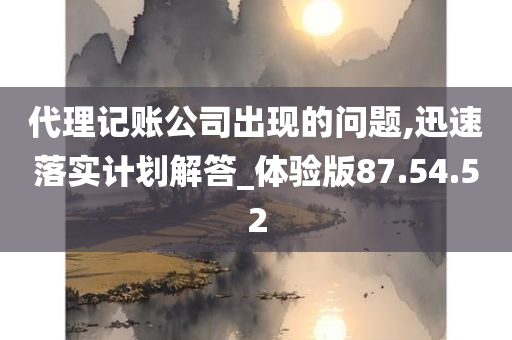 代理记账公司出现的问题,迅速落实计划解答_体验版87.54.52