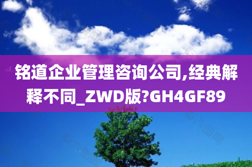 铭道企业管理咨询公司,经典解释不同_ZWD版?GH4GF89