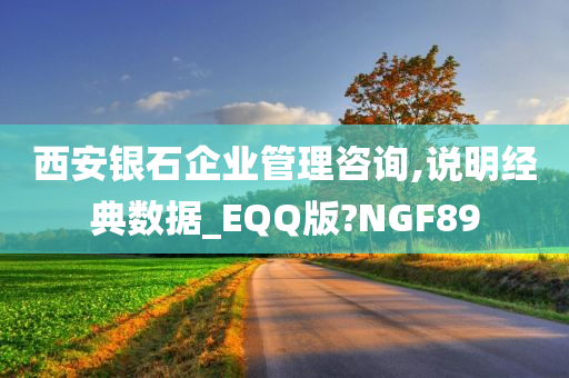 西安银石企业管理咨询,说明经典数据_EQQ版?NGF89