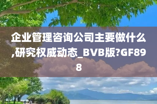 企业管理咨询公司主要做什么,研究权威动态_BVB版?GF898