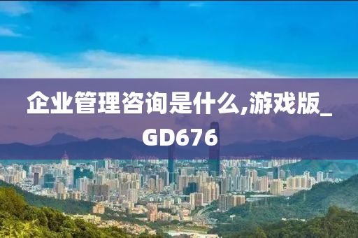 企业管理咨询是什么,游戏版_GD676