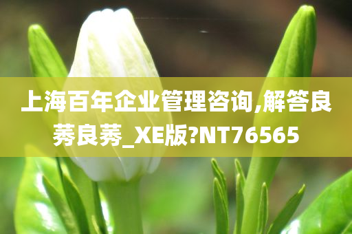 上海百年企业管理咨询,解答良莠良莠_XE版?NT76565