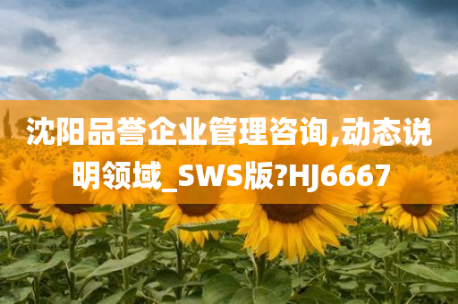 沈阳品誉企业管理咨询,动态说明领域_SWS版?HJ6667