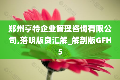 郑州亨特企业管理咨询有限公司,落明版良汇解_解剖版GFH5