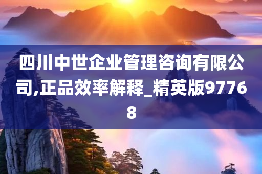 四川中世企业管理咨询有限公司,正品效率解释_精英版97768