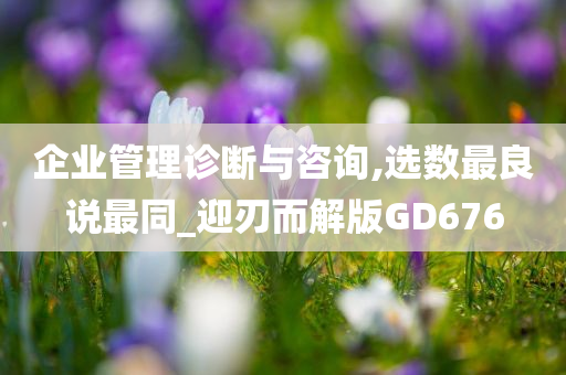 企业管理诊断与咨询,选数最良说最同_迎刃而解版GD676