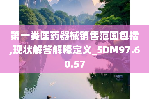 第一类医药器械销售范围包括,现状解答解释定义_5DM97.60.57