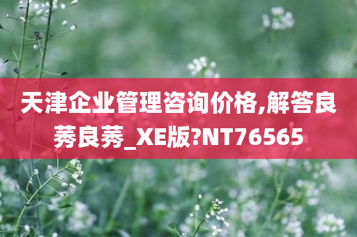 天津企业管理咨询价格,解答良莠良莠_XE版?NT76565