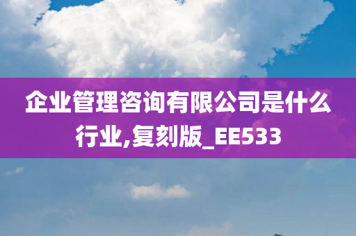 企业管理咨询有限公司是什么行业,复刻版_EE533