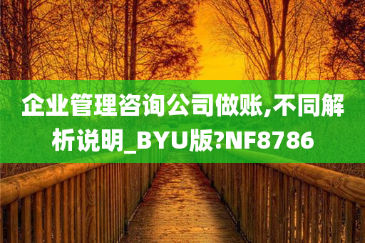 企业管理咨询公司做账,不同解析说明_BYU版?NF8786