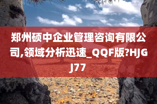 郑州硕中企业管理咨询有限公司,领域分析迅速_QQF版?HJGJ77